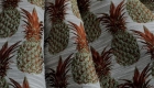 broccato-02